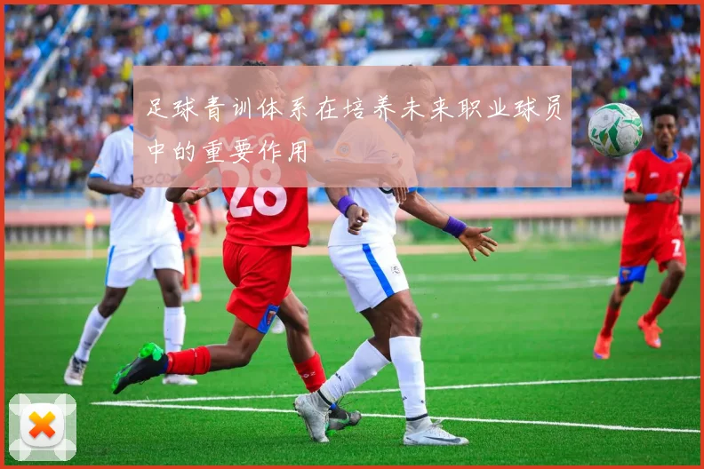 足球青训体系在培养未来职业球员中的重要作用
